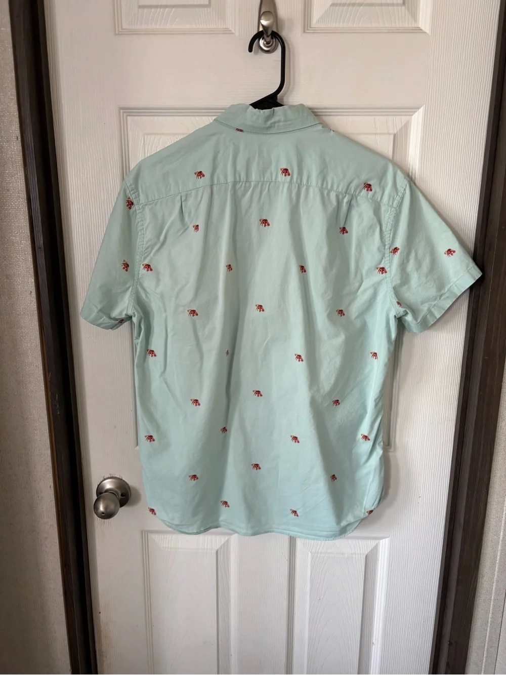 J. Crew Mint Short-Sleeve Button-Down Shirt with Red Embroidery